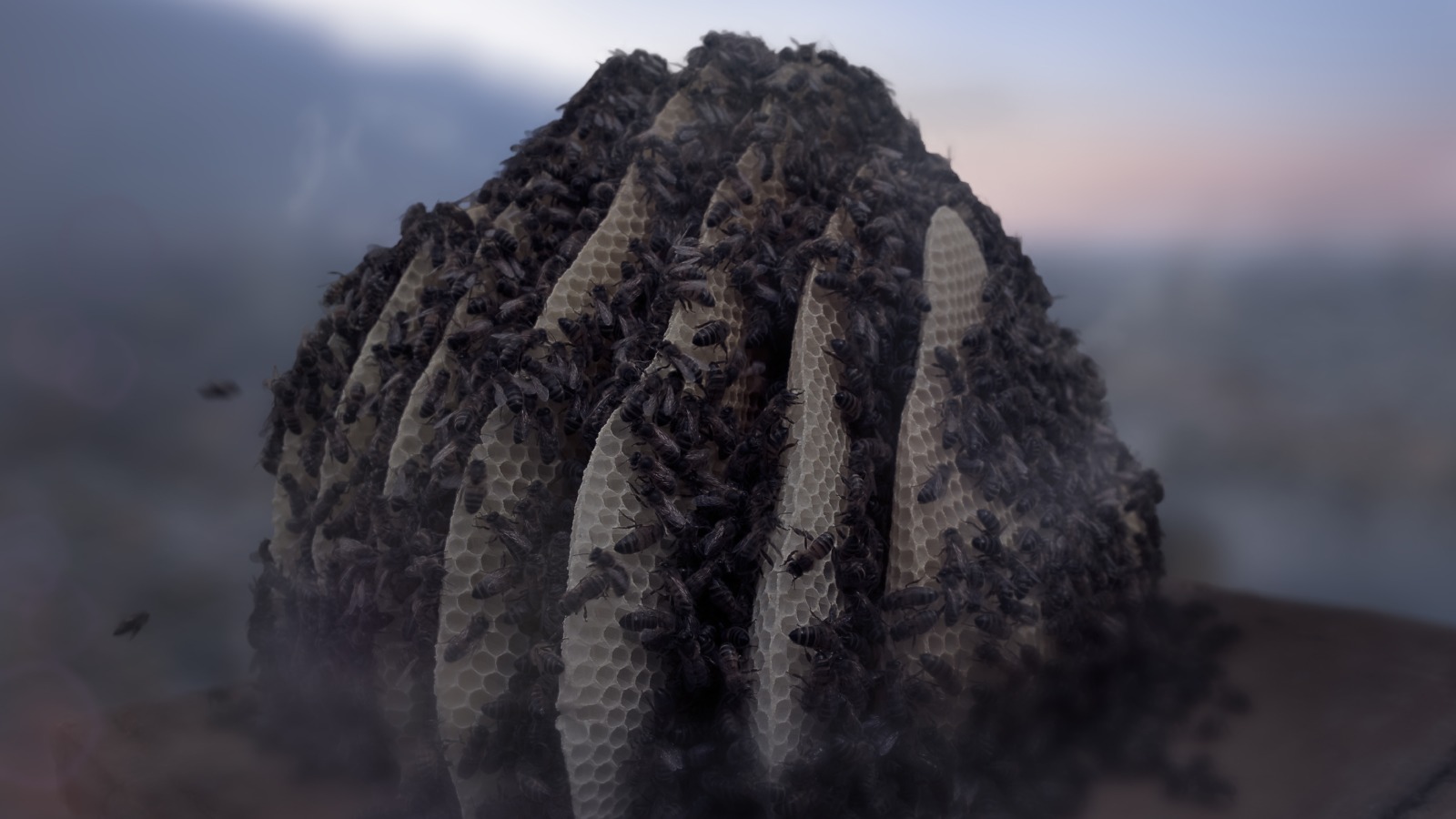 Still from documentary Conscious, which shows a close up of a bee hive with bees covering several honeycombs