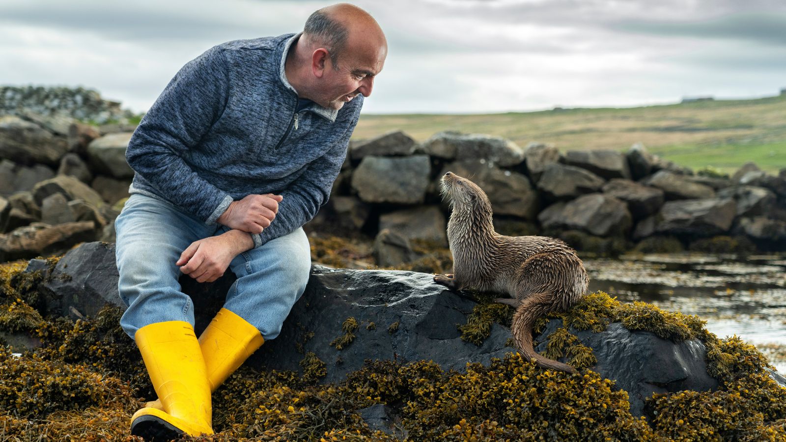 Still from Billy and Molly An Otter Love Story, courtesy of LandxSea. A man sits on a rock by water, waring a fleece, jeans and yellow wellingtons. He looks down at an otter, which sits on the rock beside him, and looks back up at him.