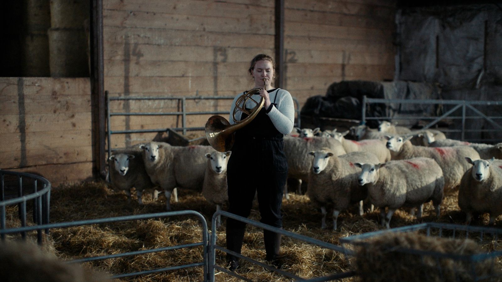 Still from Notes from Sheepland, courtesy of LandxSea. The image shows a female farmer in a sheep shed. She wears overall and is playing a French horn. Behind her in a pen covered in straw, a flock of sheep watch her.